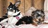 Tobie Teddington and his sister Jasmine-jasmineandtobie2.jpg