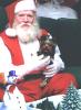 Puppy's first christmas-scanned-image.jpg