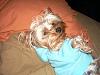 My Tobie monster!!(soo cute)-012.jpg