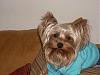 My Tobie monster!!(soo cute)-008.jpg