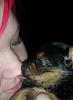 ■▐░My Girls Hannah and Miley░▌■-puppy-kisses.jpg