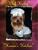 Does Your Yorkie Smile? Let's see!-harleychef.jpg