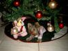Somebody Loves My Christmas Tree-simg5486-800-x-600-.jpg