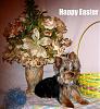 Laddy's Easter Pics-img_0055.jpg