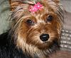 Pretty Daisy-easter-7-months-005.jpg