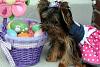 Shelby and Jackson's Easter Celebration-h.jpg