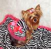 Lacy Is Ready For Spring In Her Sassy New Duds-zebra-lacy-1-.jpg