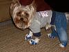 Tobie's NEW Duds!!-065.jpg