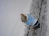 First Snow Experience!-3yoda-snow-11-14-05.jpg