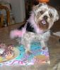 Today was my 2nd Birthday!!-sammi-2nd-bday-6-yt.jpg