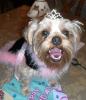 Today was my 2nd Birthday!!-sammi-bday-2-6-yt.jpg