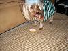 Tobie's Birthday Pictures!!-028.jpg