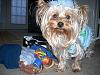 Tobie's Birthday Pictures!!-008.jpg