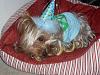 Tobie's Birthday Pictures!!-011.jpg