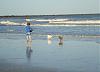 Some action at the beach!!!-dsc04938.jpg