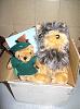 Yodi's Adventure Discussion Thread - YorkieTalk's Traveling Yorkie-yodi-box.jpg