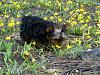 Jen and Jaz in Montana-hike-como-171.jpg