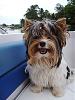 The weather is warm & time to go boating!-010.jpg