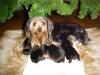 PepperAnn & new Babies-mvc-006f.jpg