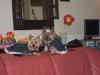 Chelsey's first Birthday - pics !!-verjrdgchels1.jpg