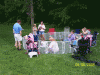 OUR 1st NEBRASKA YORKIE MEET UP!-100_3798.gif