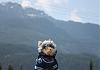 Yodi's Adventure Discussion Thread - YorkieTalk's Traveling Yorkie-2009-06-06-squamish2.jpg