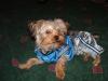 Newest Detroit Lion-jeter-012-640-x-480-.jpg