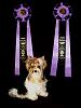 Frazier wins best jr puppy in show....-015.jpg