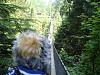 Yodi's Adventure Discussion Thread - YorkieTalk's Traveling Yorkie-2009-06-07-capilano15.jpg