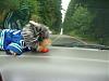 Yodi's Adventure Discussion Thread - YorkieTalk's Traveling Yorkie-yodi-062-600-x-450-.jpg