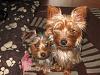 Twinkle and Wicket-044.jpg