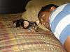 My new Yorkie puppy-dsc07221-large-.jpg