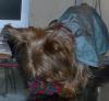 Gucci's new jacket and Ball from Idenise-gucci-her-new-jacket-ball.jpg