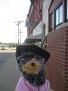 Yodi's Adventure Discussion Thread - YorkieTalk's Traveling Yorkie-citydrug-small-.jpg