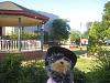 Yodi's Adventure Discussion Thread - YorkieTalk's Traveling Yorkie-downtownpark-small-.jpg