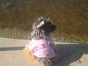 Yodi's Adventure Discussion Thread - YorkieTalk's Traveling Yorkie-should-i-jump-small-.jpg