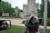 Yodi's Adventure Discussion Thread - YorkieTalk's Traveling Yorkie-driveby.jpg