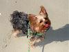 Lexie Rae's 1st trip to the beach!!-100_0358.jpg