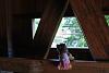 Yodi's Adventure Discussion Thread - YorkieTalk's Traveling Yorkie-dsc_0048.jpg