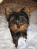 My New Baby Bentley!-bentley-025.jpg