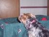 My New Lil Mommy-100_1399.jpg