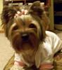 Izzy's New Haircut-izzy-july11-09-c.jpg