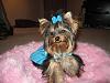 Ting Ting in her Tiffany's dress made by Chloebella.com-201606.jpg