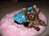 Ting Ting in her Tiffany's dress made by Chloebella.com-201626.jpg