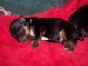 My New Lil Mommy-100_1389.jpg