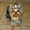 ♥ My Lil Missy Mouse-Mouse is growin' up! ♥-055.jpg