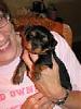 Bentleys getting a brother!-puppy2.jpg