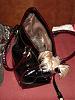 Do your pups sleep in your bags?-dsc04113.jpg