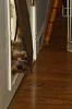 Peek a Boo-dad-home-001.jpg