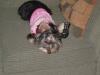 My 1st Sweater-dont-take-my-picture-12.12.jpg